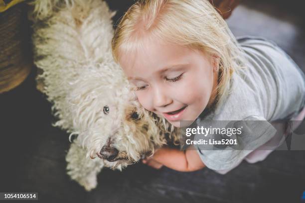 dog love - child holding toy dog stock pictures, royalty-free photos & images