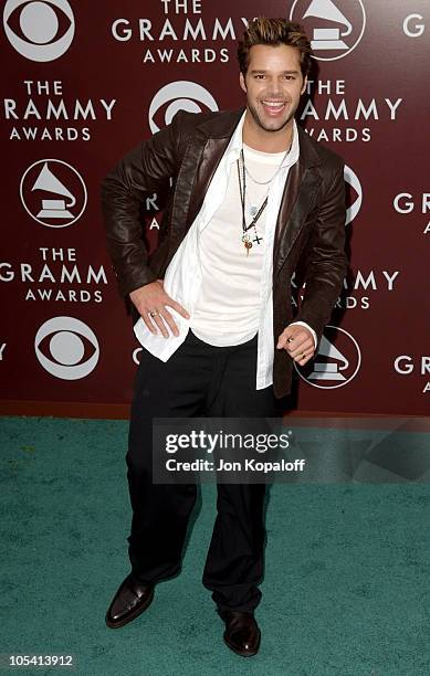 Ricky Martin during The 47th Annual GRAMMY Awards - Arrivals at Staples Center in Los Angeles, California, United States.