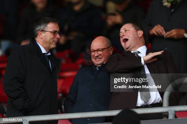 Mike Ashley, Newcastle United owner is seen in the stands prior to the Premier League match between Southampton FC and Newcastle United at St Mary's...