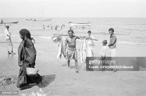 Yémen du Nord, juin 1977 --- Agitation sur la plage de Kaura, en mer Rouge. Un pêcheur revient de la pêche avec de gros poissons, qu'il porte...