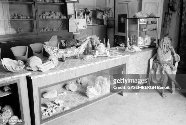 Erythrée, pays de la corne de l'Afrique sur la mer Rouge. Juillet 1998. Ici, chez un artisan fabriquant des poteries décorées de coquillages, une...