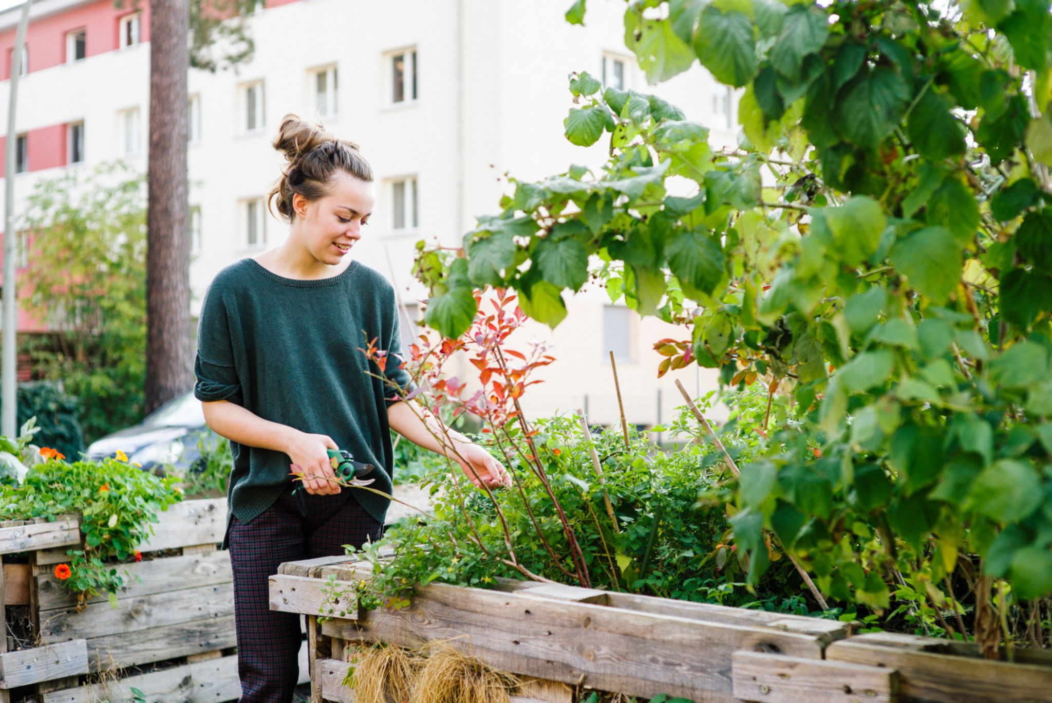eco-friendly gardening