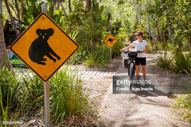 solo woman bike-packing in remote australia - thisisaustralia kangaroo stock pictures, royalty-free photos & images