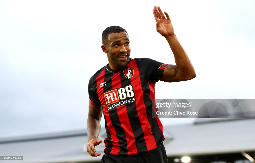 Fulham FC v AFC Bournemouth - Premier League