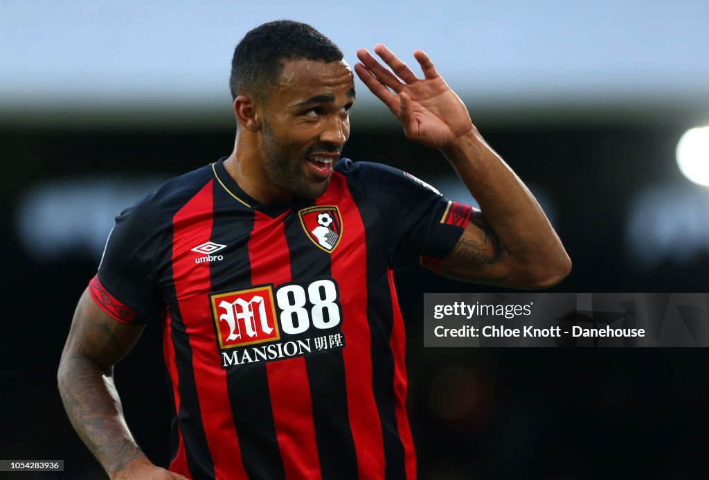 Fulham FC v AFC Bournemouth - Premier League