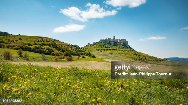 rolling landscape and the ruins of spiš castle (spišský hrad) on top of a hill, in slovakia, central europe - slovakia stock pictures, royalty-free photos & images