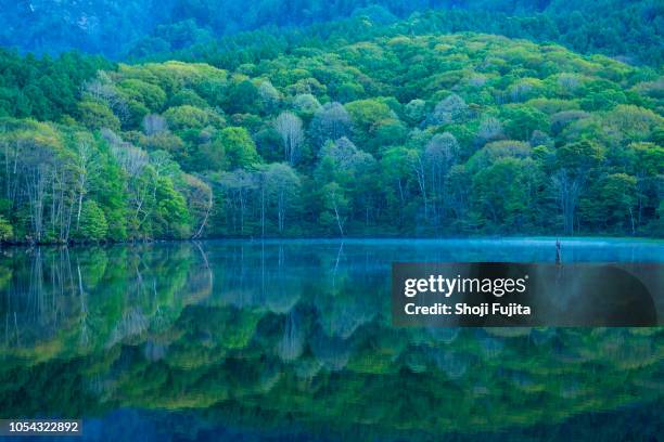 kagami-ike (mirror pond) at morning, nagano, japan - 里山　日本 ストックフォトと画像