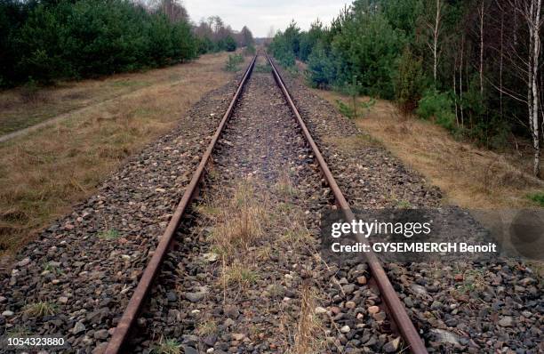 Le camp d'extermination de Treblinka en POLOGNE, rasé par les Allemands en 1943. Ici, une voie de chemin de fer traversant la forêt. Le voyage vers...