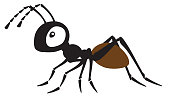 cartoon ant insect