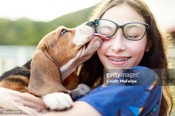 young girl playing with the dog while giving him a bath - glases stock pictures, royalty-free photos & images