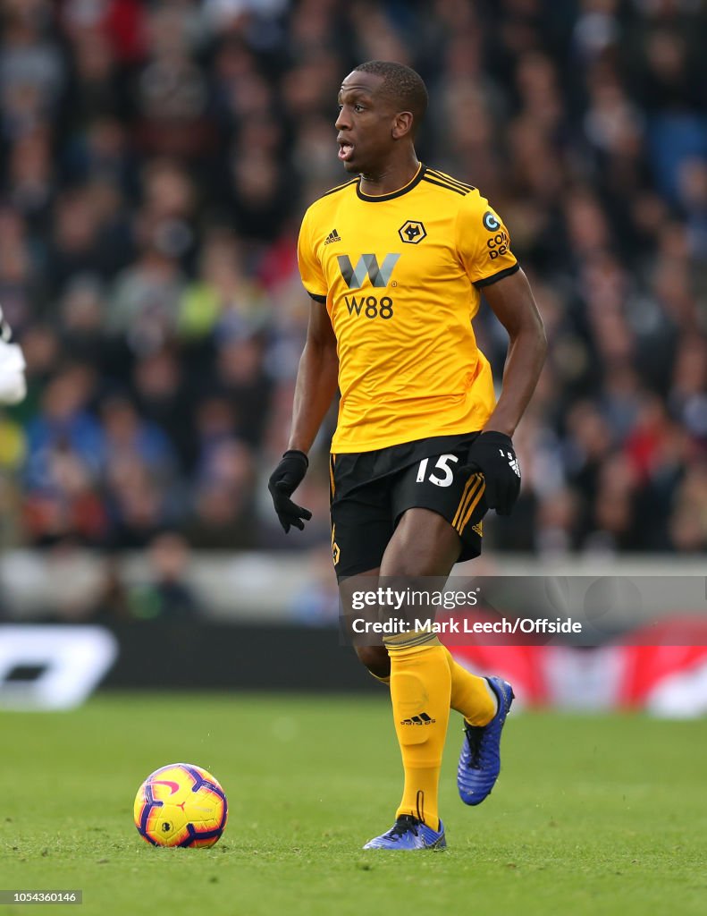 Brighton & Hove Albion v Wolverhampton Wanderers - Premier League