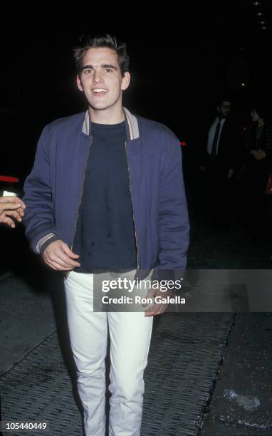 Matt Dillon during "The Last Emperor" New York City Premiere at Cinema One in New York City, New York, United States.