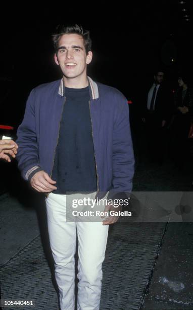 Matt Dillon during "The Last Emperor" New York City Premiere at Cinema One in New York City, New York, United States.