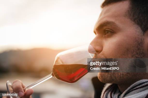 rode wijn proeverij - single rose stockfoto's en -beelden