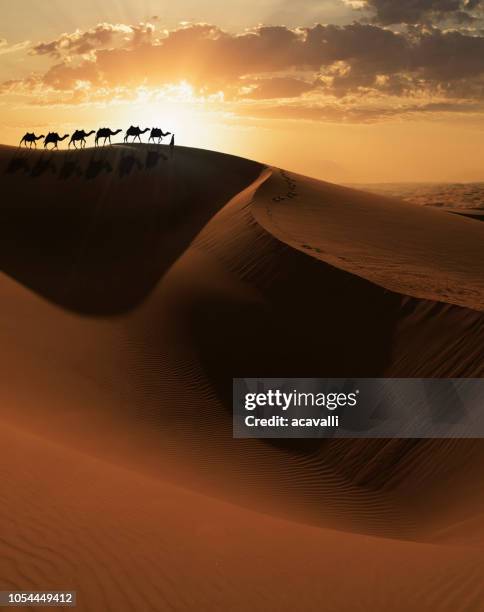 camels caravan on a dune - convoy stock pictures, royalty-free photos & images