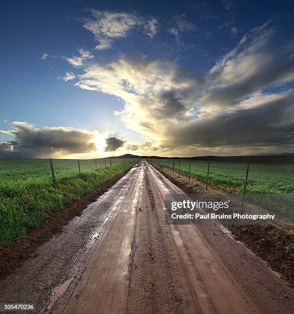 farm road sunset - durbanville stock pictures, royalty-free photos & images