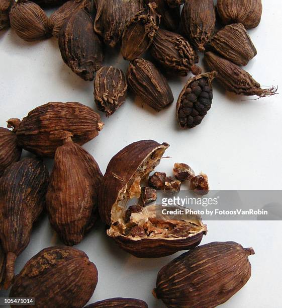 two types of black cardamom - cardamom stock pictures, royalty-free photos & images
