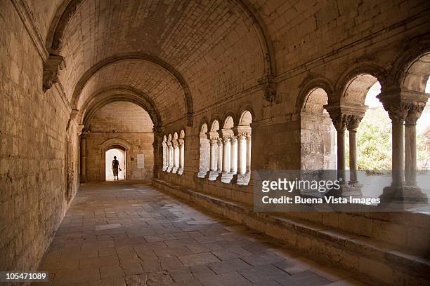 saint-trophime church cloister, arles. - arles stock pictures, royalty-free photos & images