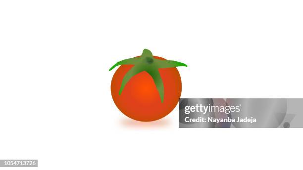 red tomato isolated vector illustration. - freshness macro stock illustrations