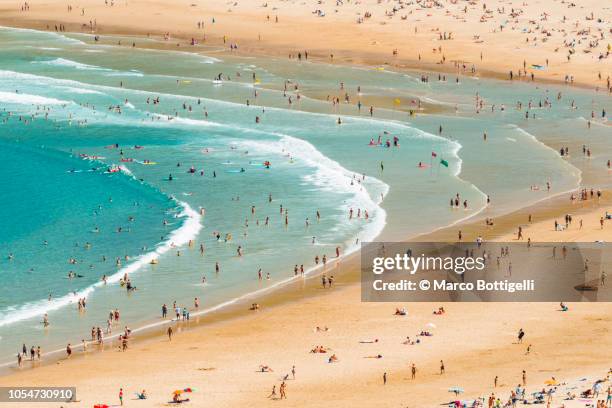 tourists on zurriola beach in summer, san sebastian, spain - san sebastian stock-fotos und bilder