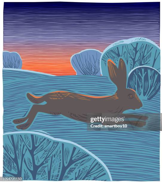 countryside with hare or jackrabbit - rabbit animal stock illustrations