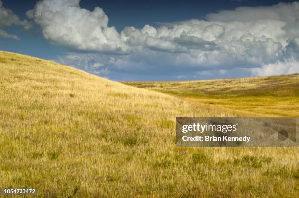 grass prairie hill landscape under a big sky - alberta prairie stock pictures, royalty-free photos & images