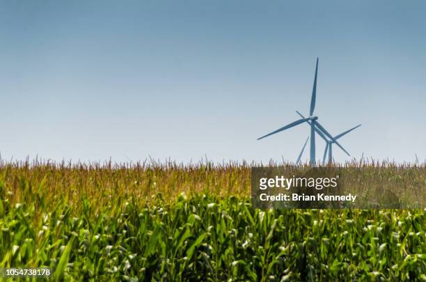 indiana corn field and wind turbines - v indiana stock pictures, royalty-free photos & images