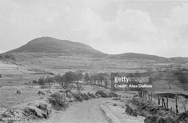View of the Tryweryn Valley near Bala, Merionethshire, Wales, 27th February 1957. In 1957, a private bill was passed by Parliament to flood the...