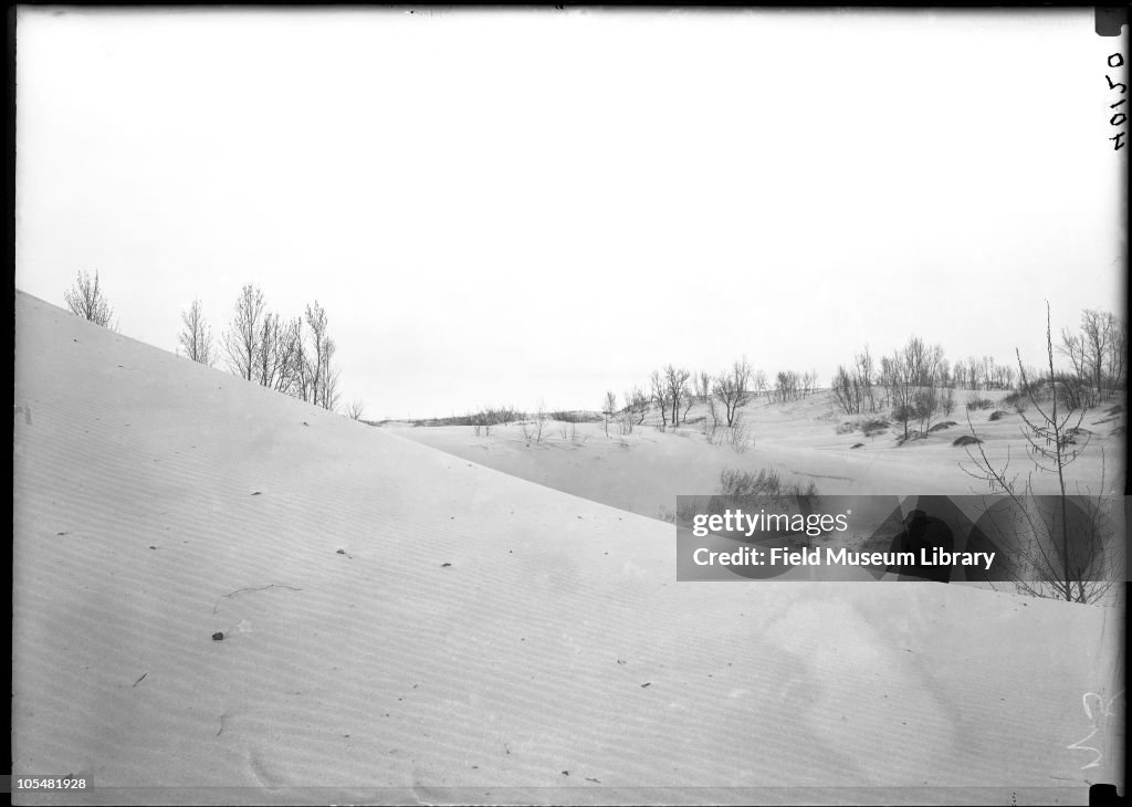 Sand, Trees, Man Sitting