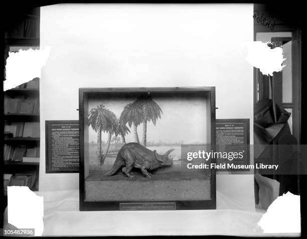 Great Horned Dinosaur Triceratops, Harris Extension case with text label and Field Columbian Museum in the background, 1917.