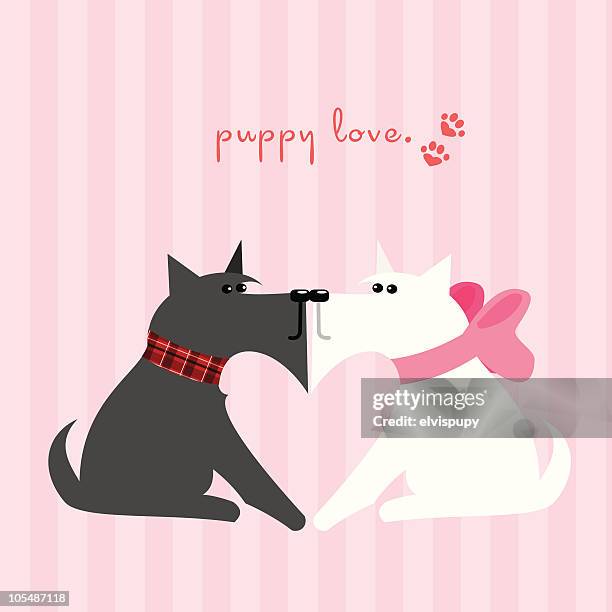 puppy love - animals kissing stock illustrations