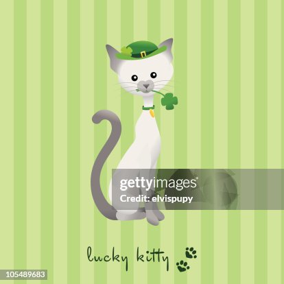 Lucky Kitty Lucky Kitty