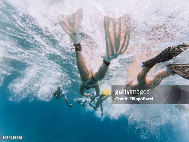 海で一緒に泳ぐ - ダイビング用のフィン ストックフォトと画像