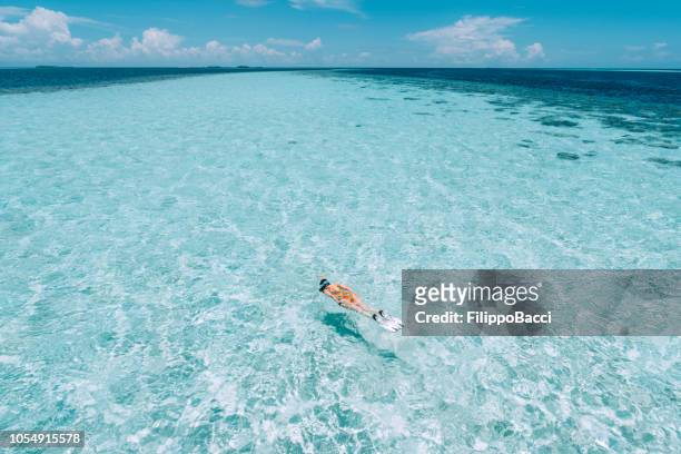 joven adulto buceo en un mar de color turquesa claro - snorkeling fotografías e imágenes de stock