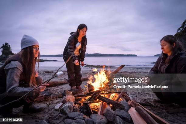 young women roasting marshmallows on campfire on remote, winter beach - vancouver island stock pictures, royalty-free photos & images