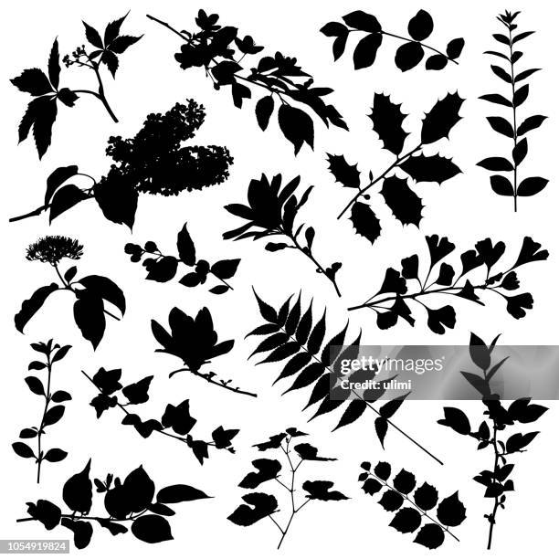 plants silhouette - ivy growing stock illustrations
