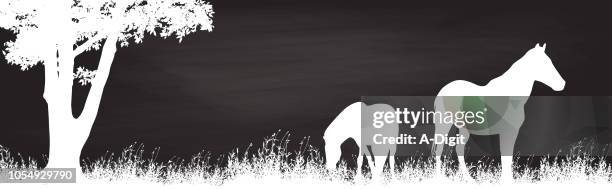 511点の馬 かっこいいイラスト素材 Getty Images 511点の馬 かっこいいイラスト素材 Getty Images