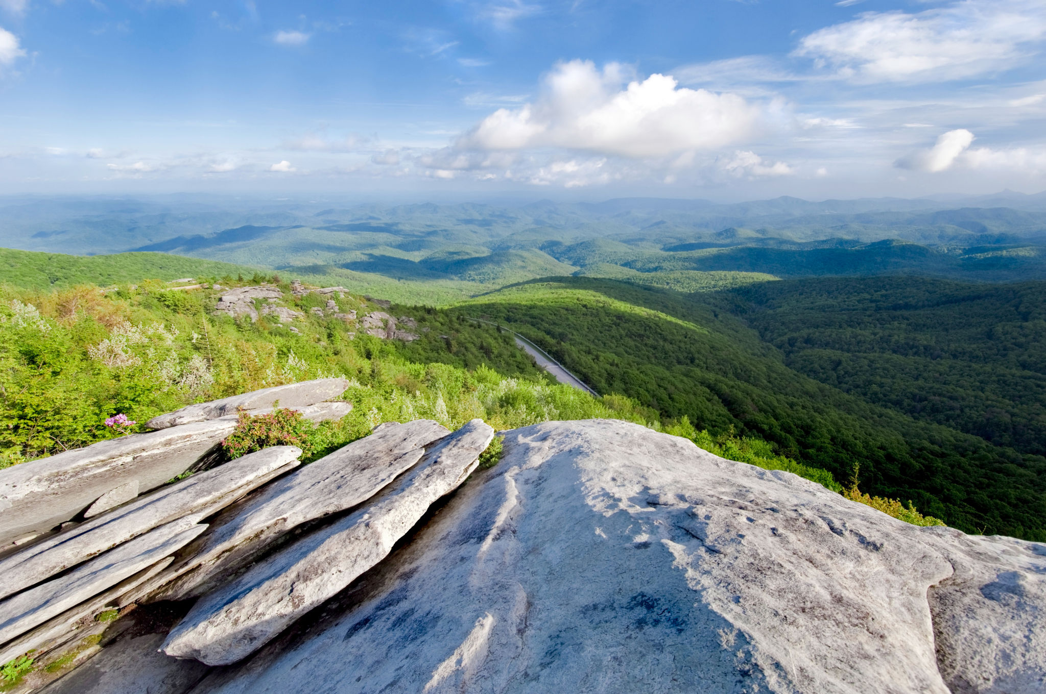 virginia summer
