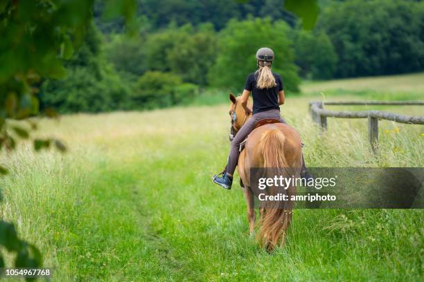 rückansicht frau reitpferd auf wiese - horseback riding stock-fotos und bilder