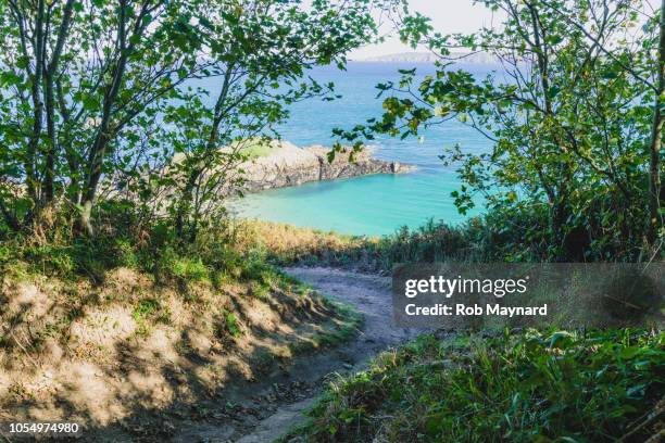 under tree at hem island - guernsey stock pictures, royalty-free photos & images