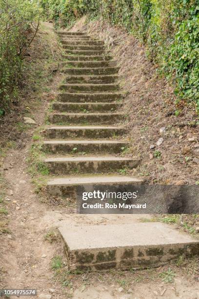 2,800 Steep Steps Stock Photos, High-Res Pictures, and Images - Getty Images