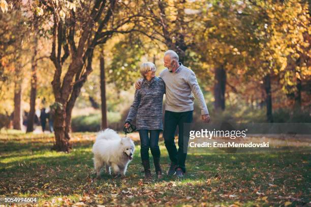 senior couple walking their dog in park - autumn dog stock pictures, royalty-free photos & images