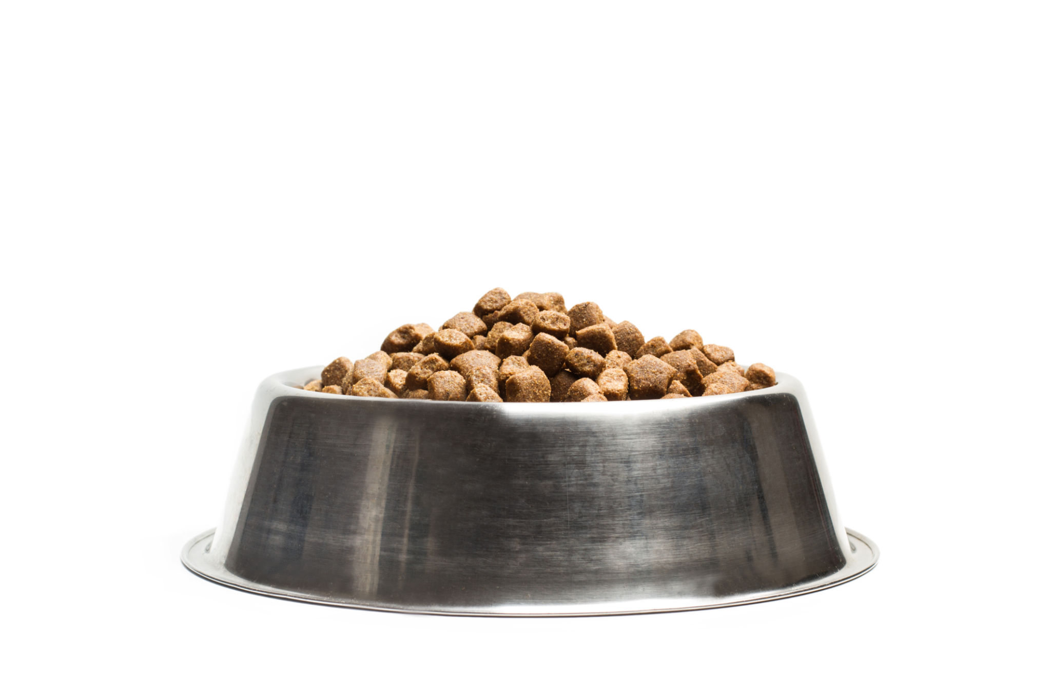 dog food bowls