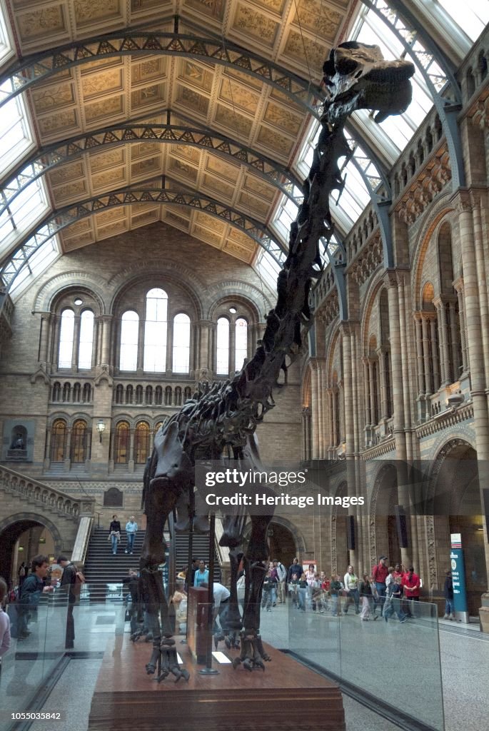 Nat His Museum