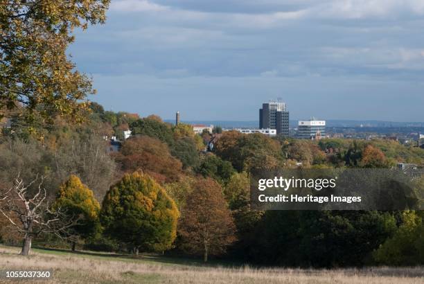 View through the autumn woods looking southeast from Parliament Hill Fields, at Hampstead Heath, London, NW3, England. Artist Ethel Davies.