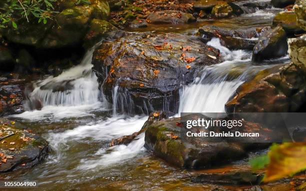 flowing water - helen duncan stock pictures, royalty-free photos & images