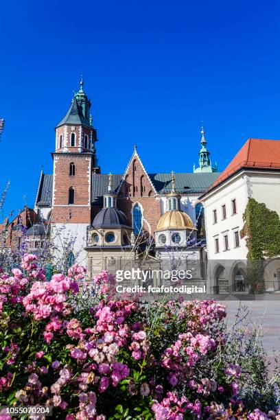 the royal castle with wawel cathedral on wawel hill in the city of krakow in poland - wawel cathedral stock pictures, royalty-free photos & images