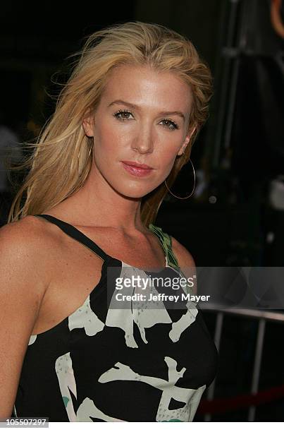 Poppy Montgomery during "Collateral" Los Angeles Premiere - Arrivals at Orpheum Theatre in Los Angeles, California, United States.