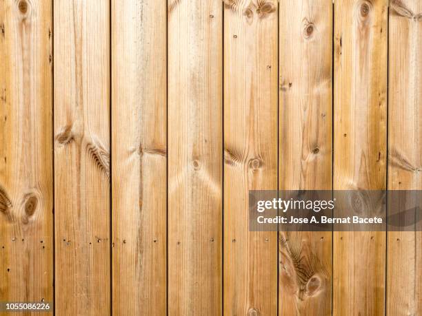 close-up of  wall of a house of wood illuminated by the light of the sun. - damaged fence stock pictures, royalty-free photos & images