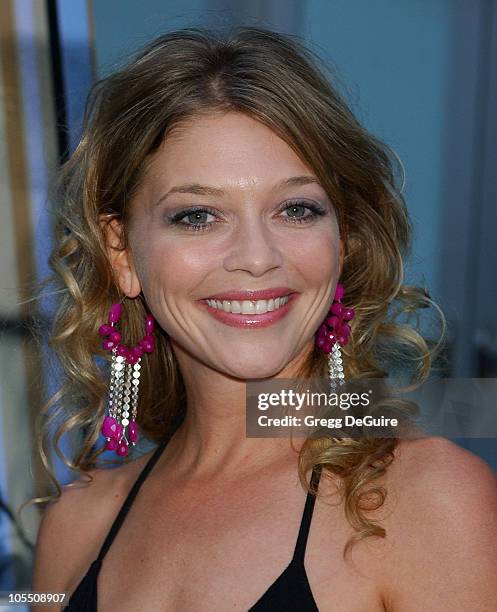 Amanda Detmer during "Stander" Los Angeles Premiere - Arrivals at ArcLight Theatre in Hollywood, California, United States.